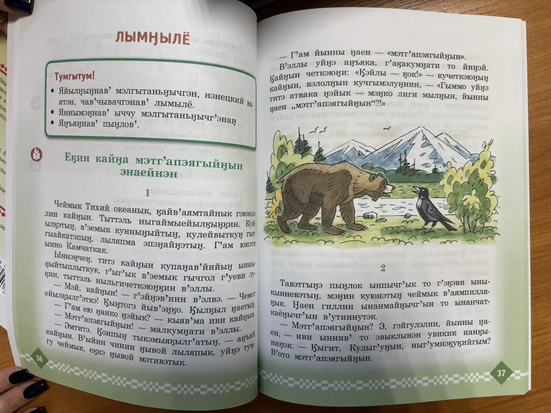 Новые учебные пособия для 2 класса помогут изучать корякский и ительменский языки 📖