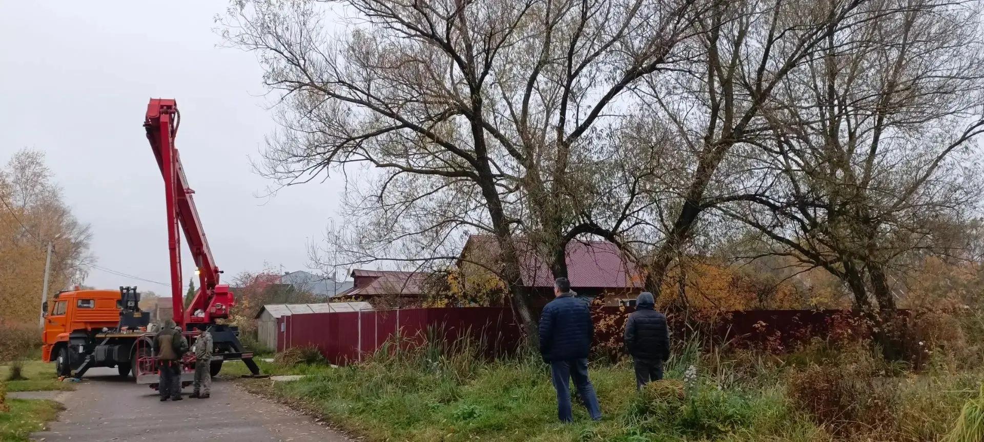 🌳На ул. Запрудная, в районе пожарного водоёма, произрастали крупные ивы, представлявши...