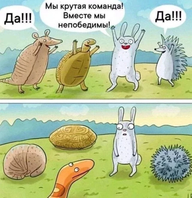 Прибалтийские зайчики, посмотрите внимательно на рисунок