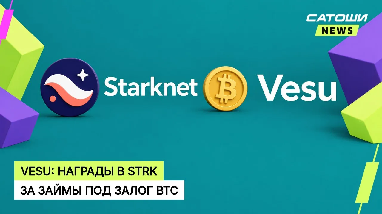 #starknet #vesu #btcfi