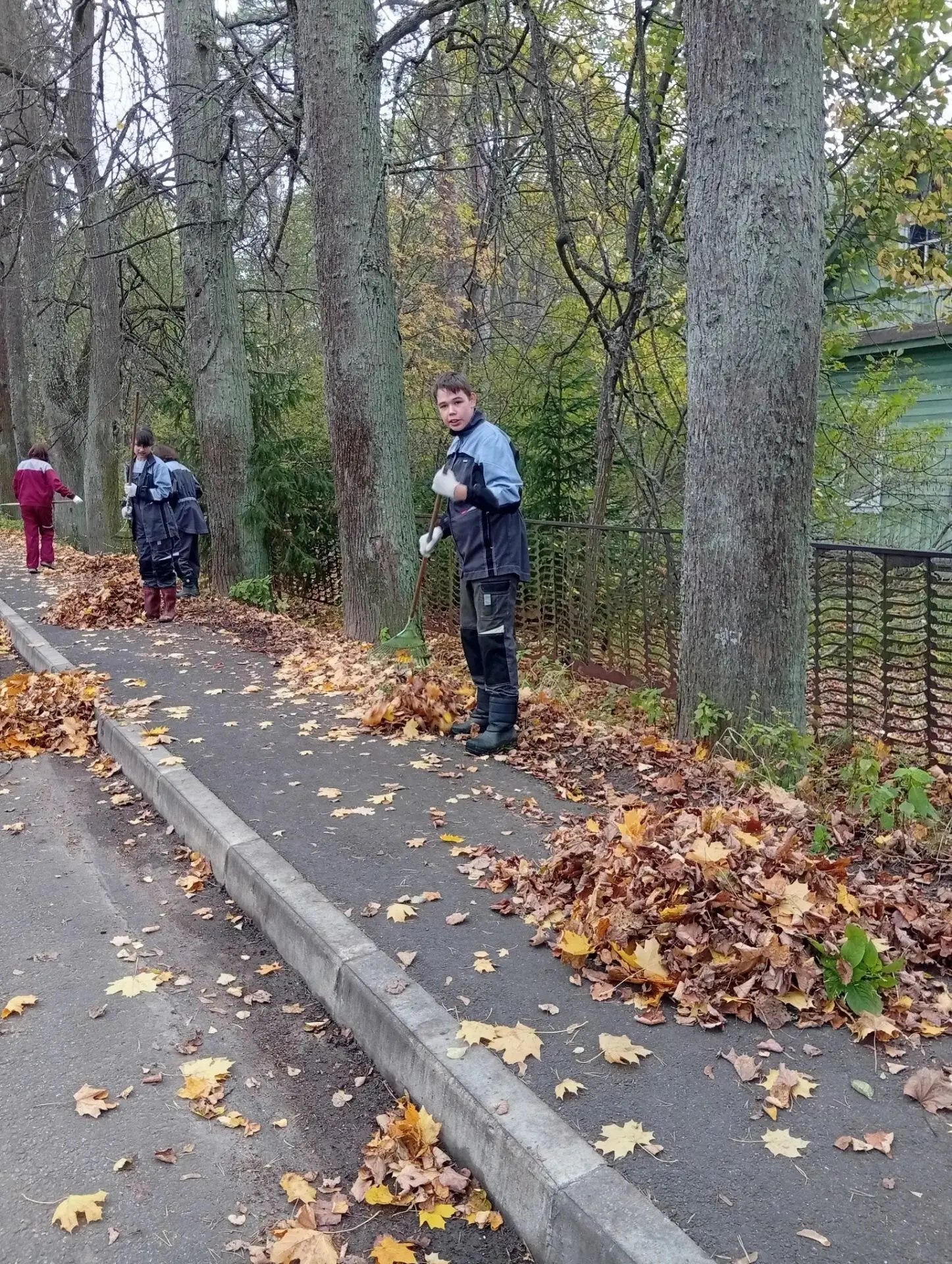 В погожие осенние дни на уроках по домоводству и клинингу под руководством педагога Шем...