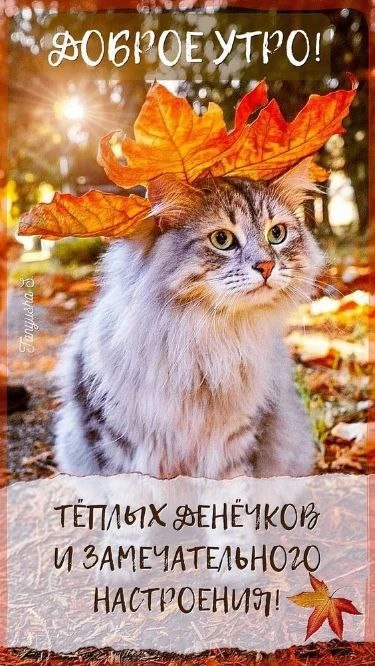 Открытки: подписаться ❤️