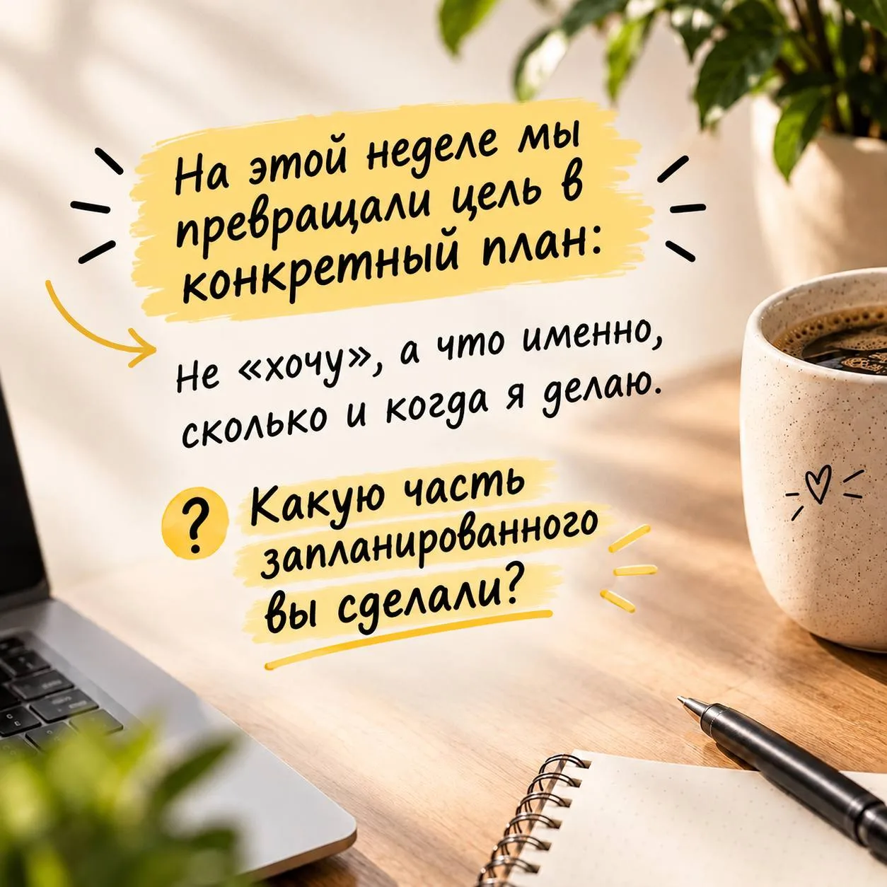 12 НЕДЕЛЬ · СВЕРКА 02/12