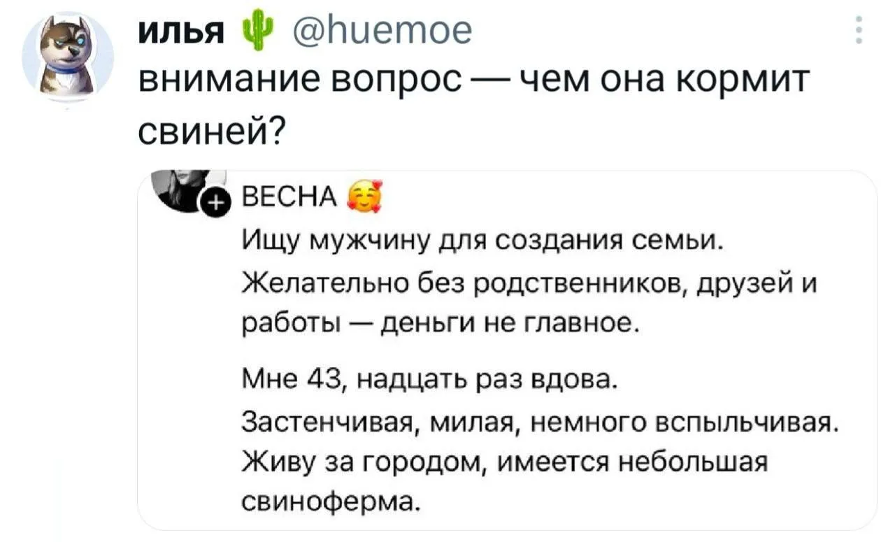 🐈‍⬛ Белее белого