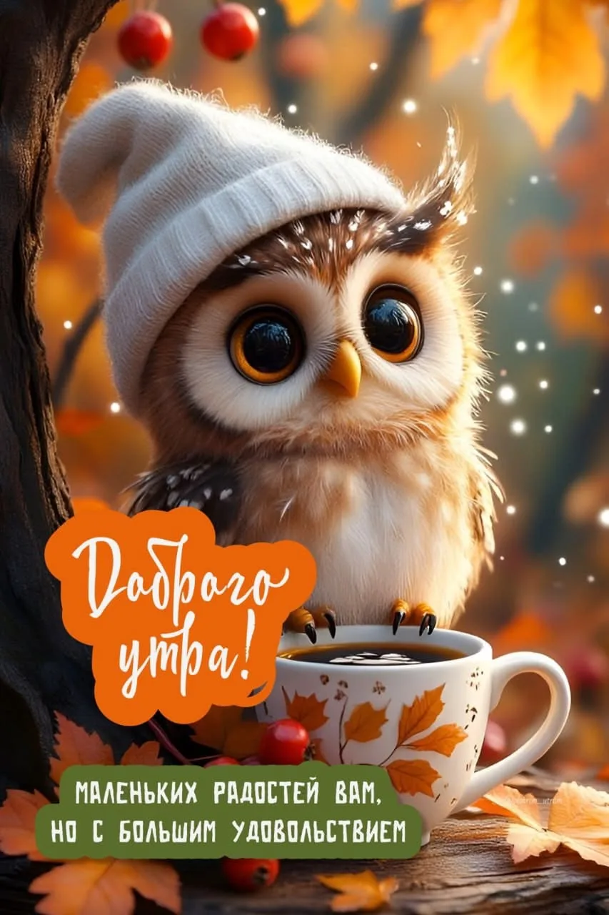 🥰Открытки и поздравления!