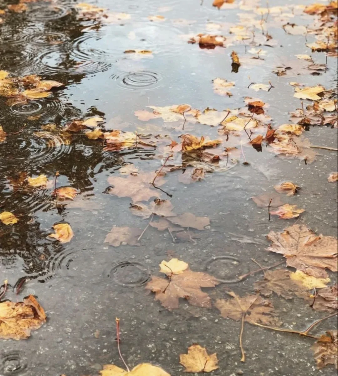 ☔️ Доброе утро!