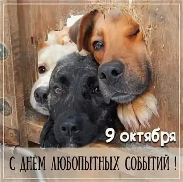 Сегодня отмечают День любопытных событий.
