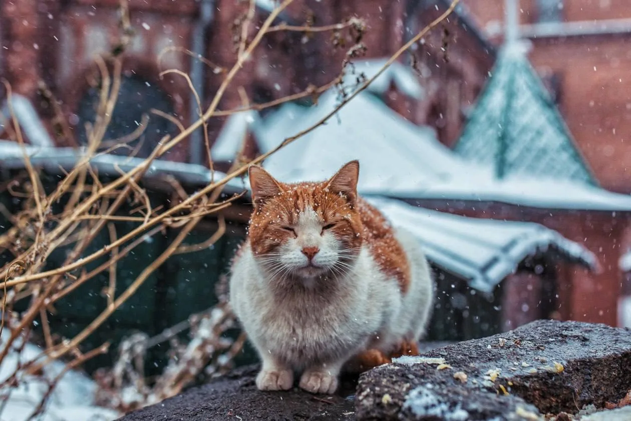 😞 Уже завтра циклон настигнет Хабаровский край