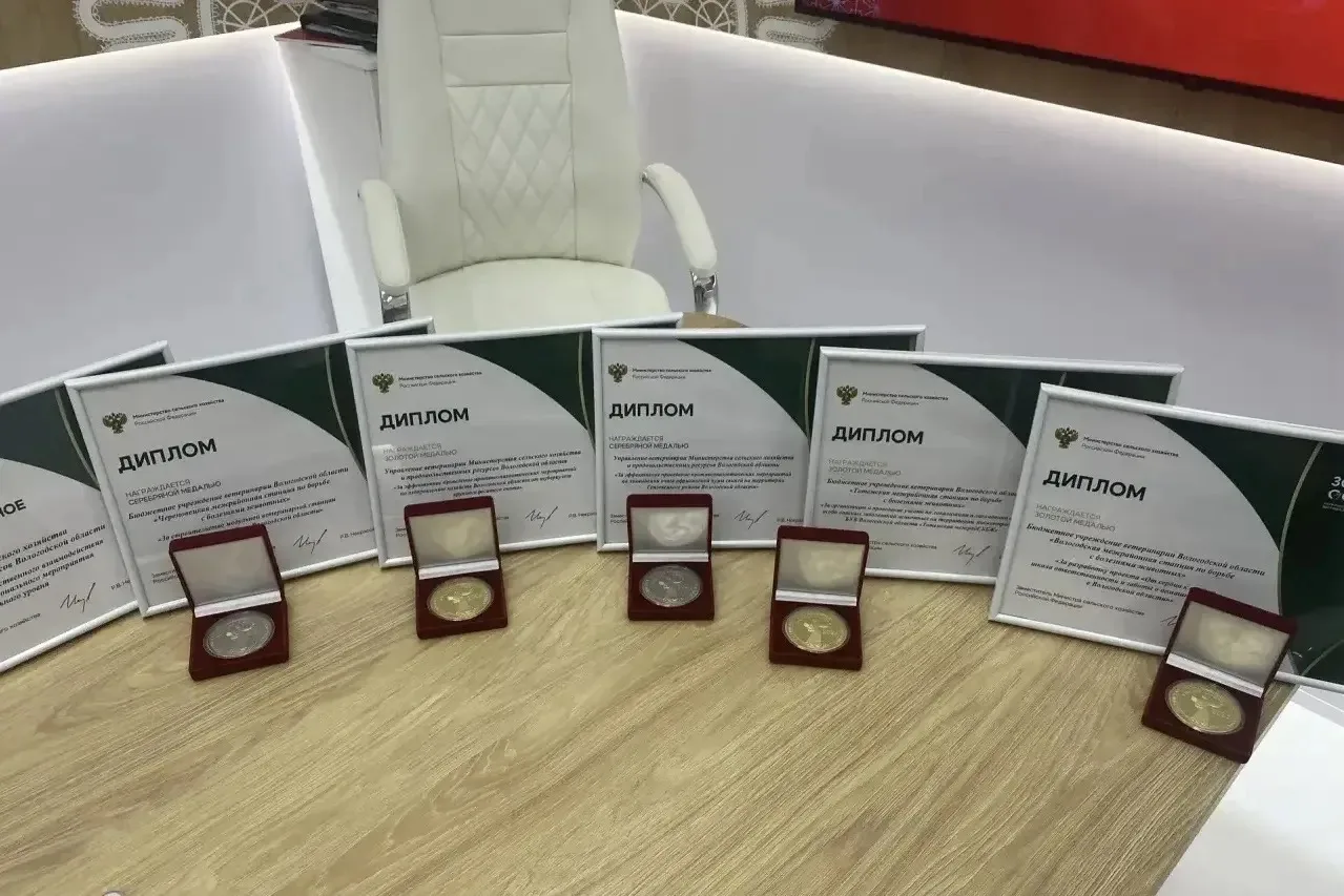 🏆 Утро начинается с золота! Вологодчина завоевала сразу шесть медалей на «Золотой осен...