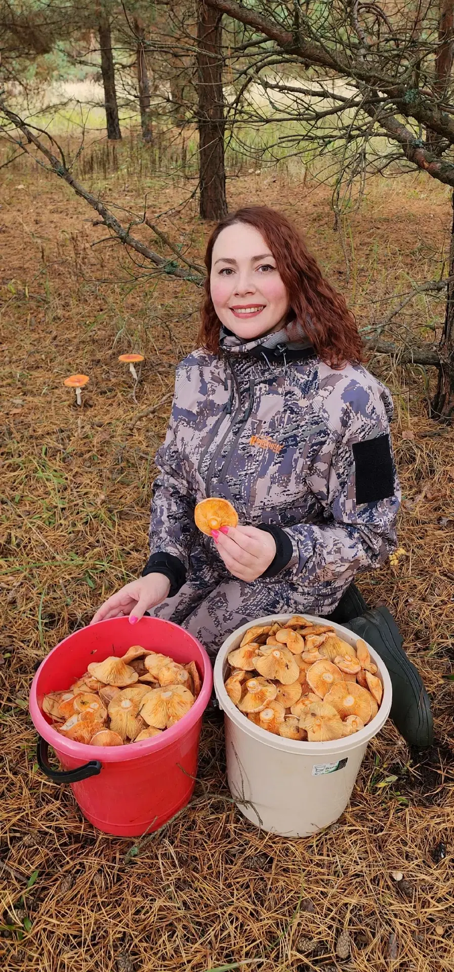 Рыжики 2026 год