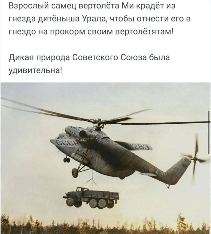Немного юмора)