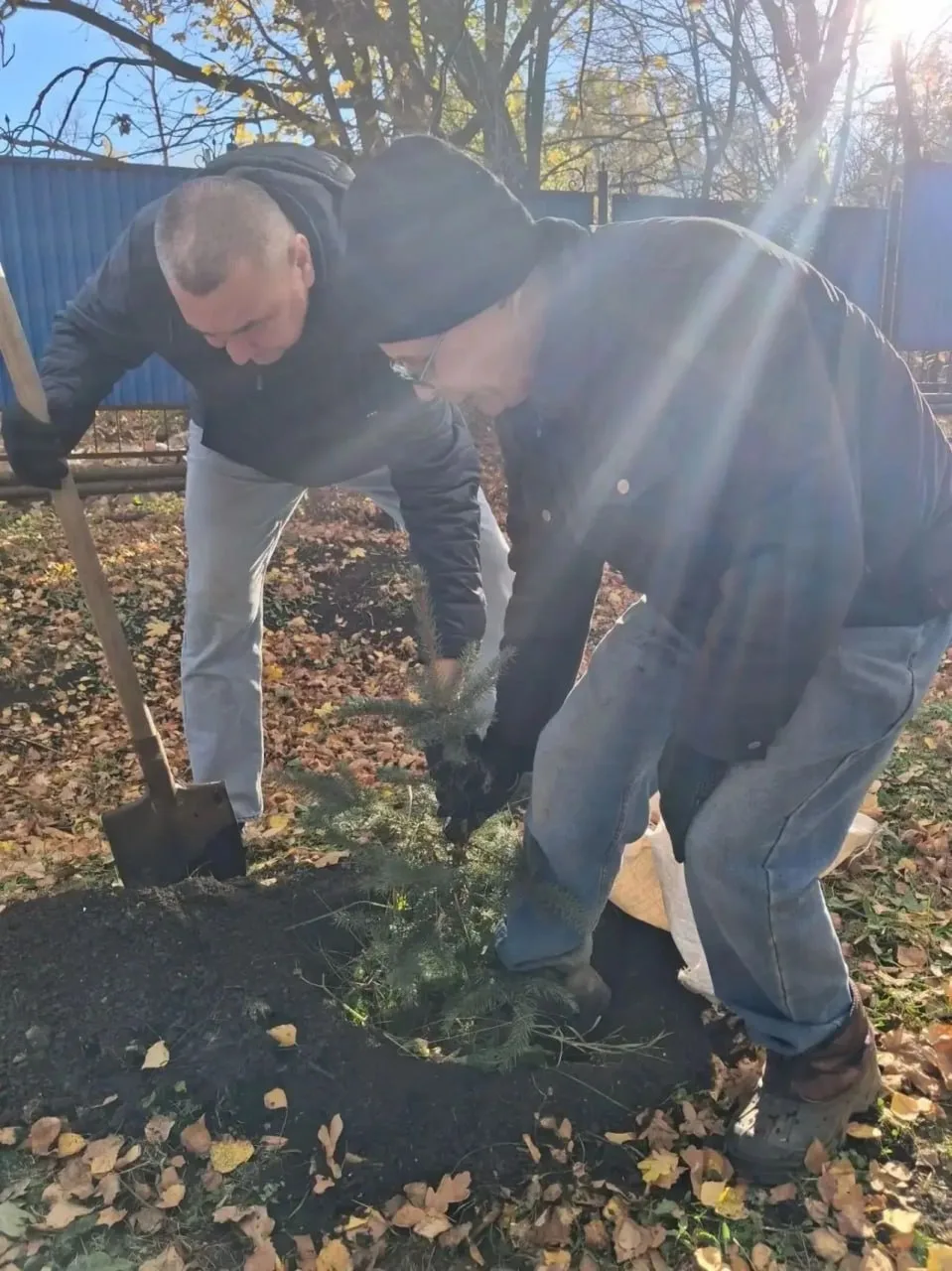 🌲 В Лениногорске постояльцы дома-интерната высадили ели в честь декады пожилых