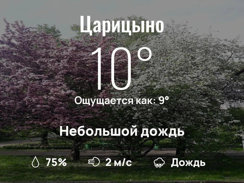 Что с погодой в Царицыно?