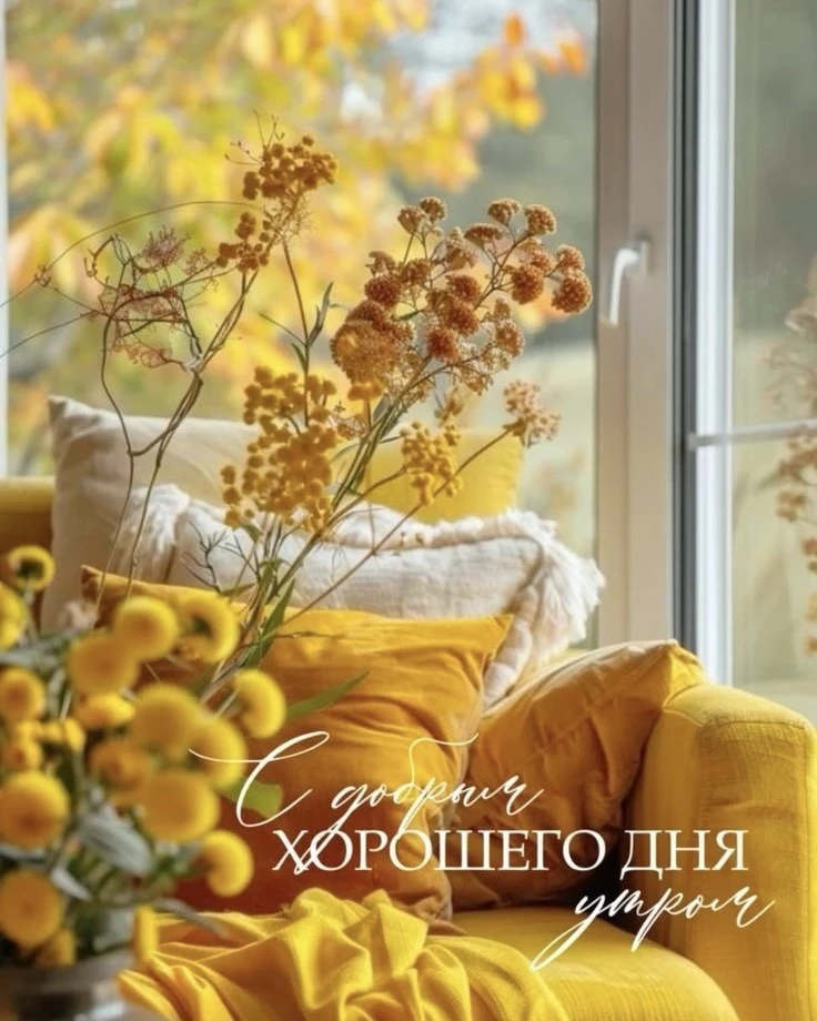 Доброе утро ☀️