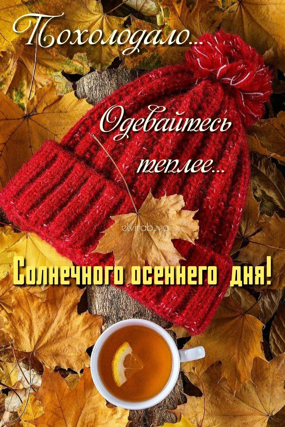 #обои #обои_для_девушек