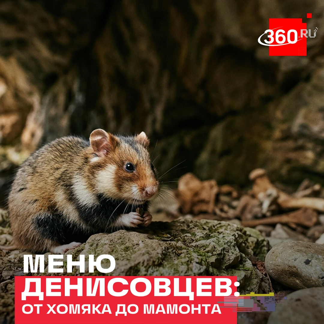 Древние люди перекусывали хомяками.