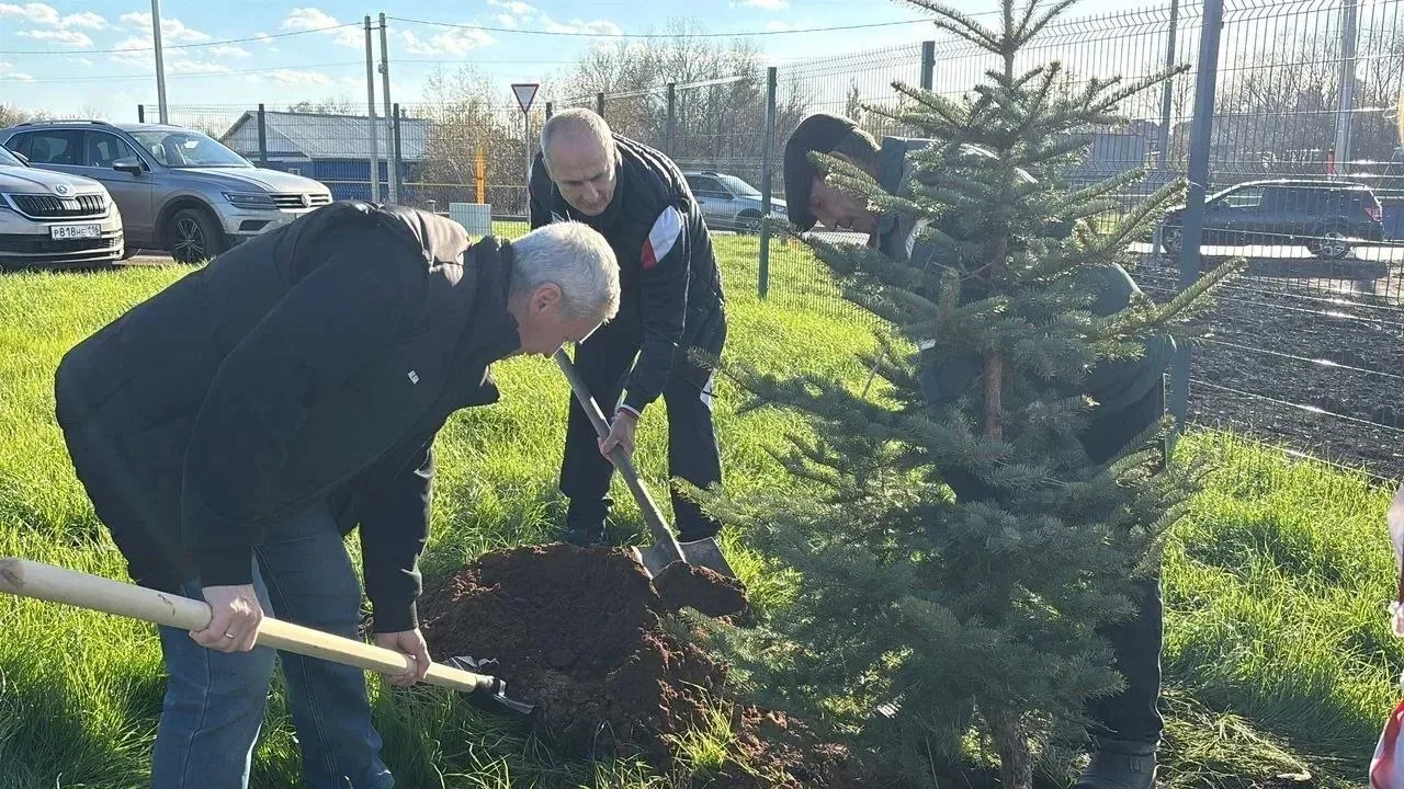 🌲 Легенды «Ак Барса» высадили ели у ледового дворца «Аксу Арена»