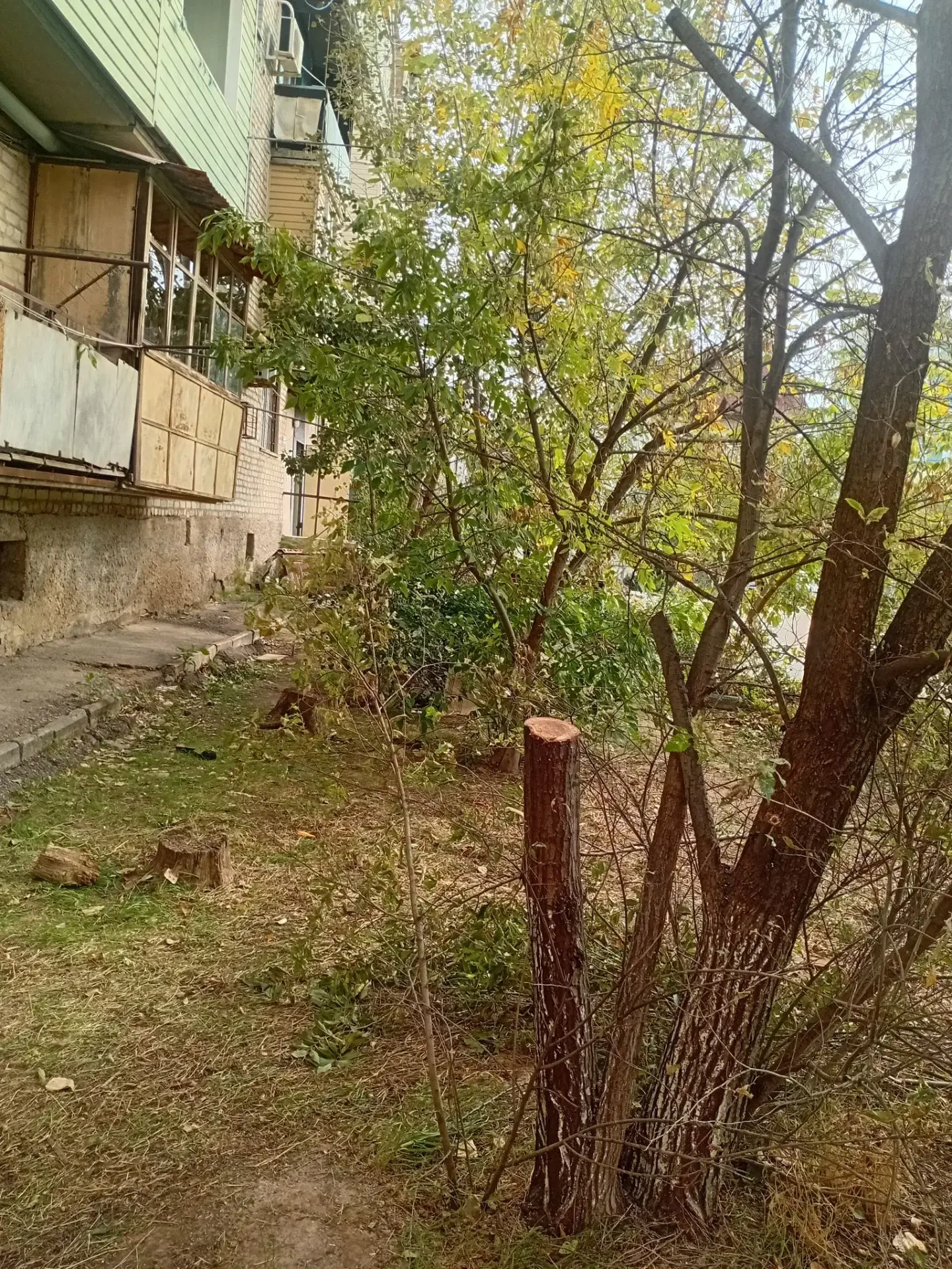 По адресу: ул. Кубанская, д. 29 к. 1 был произведён спил сломанного дерева.