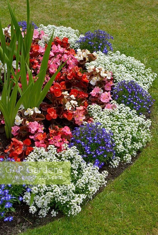 🌸 Как создать клумбу мечты с БУКЕТНОЙ ПОСАДКОЙ цветов?
