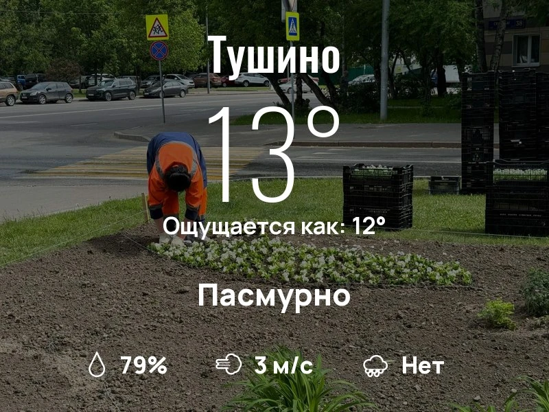 Что с погодой в Тушино?