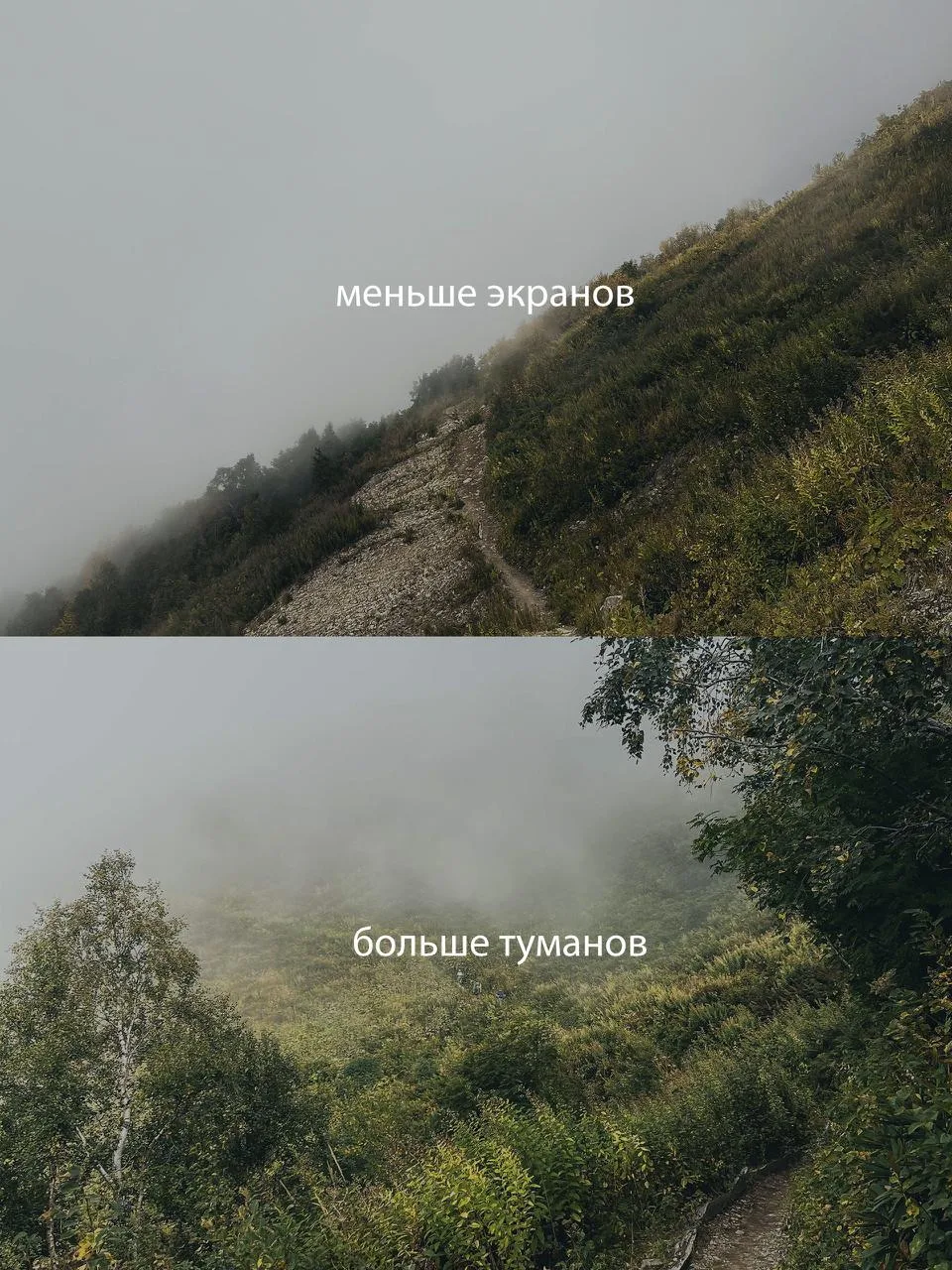 Идеальный план спасения от осенней хандры ☕
