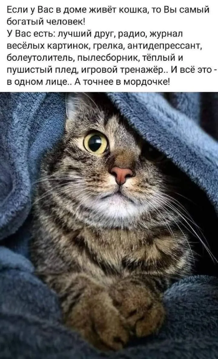 Мои вчера спали почти в обнимку 🐱🐱