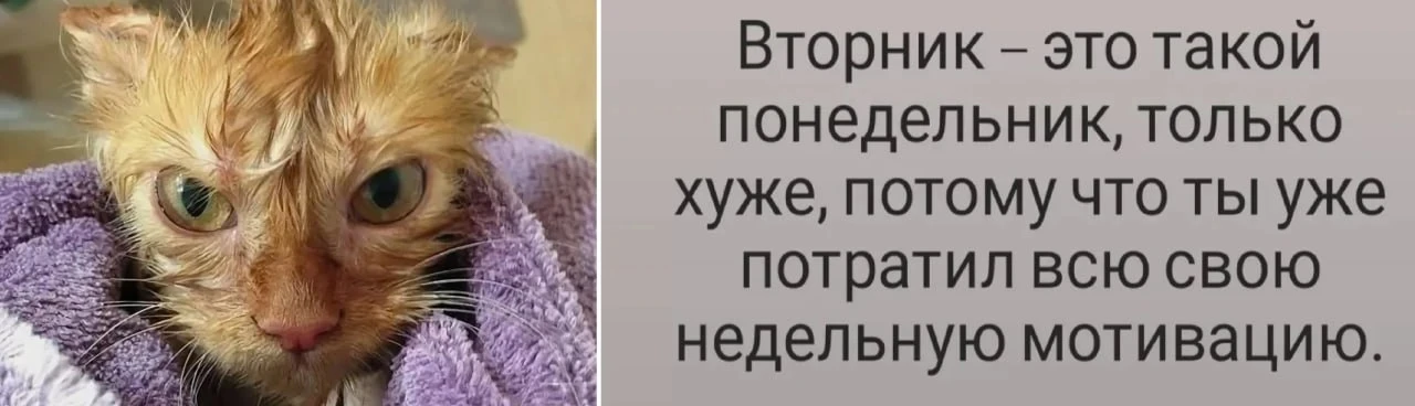 Замечено...
