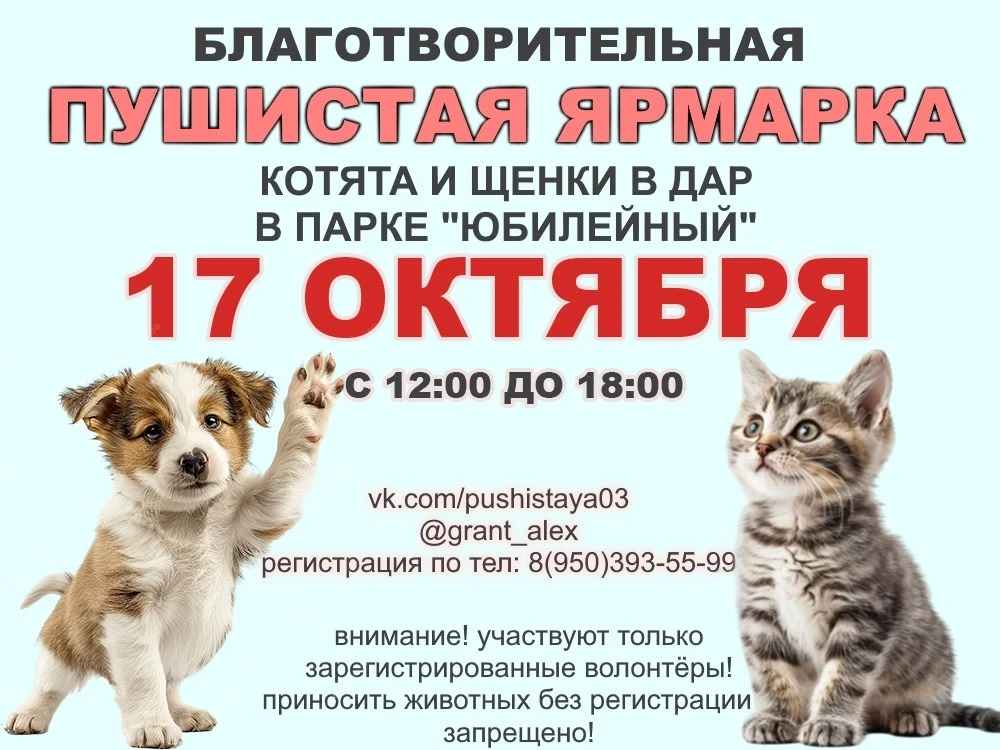 🐾 Пушистая ярмарка: подари дом хвостику! 🐾