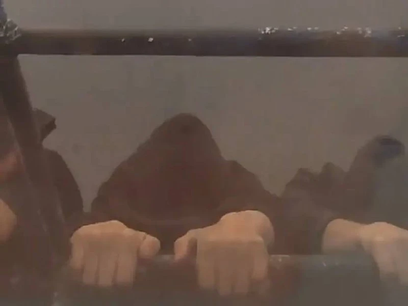 🤯В Энгельсе трое зацеперов катались на троллейбусе.