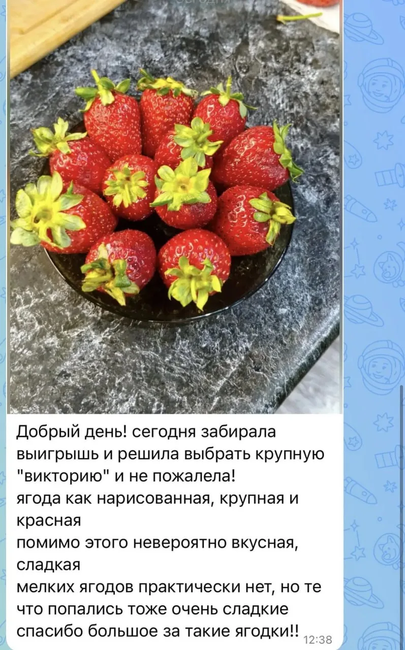Регулярные свежие поставки клубники, малины, ежевики, фруктов в Камень-на-Оби