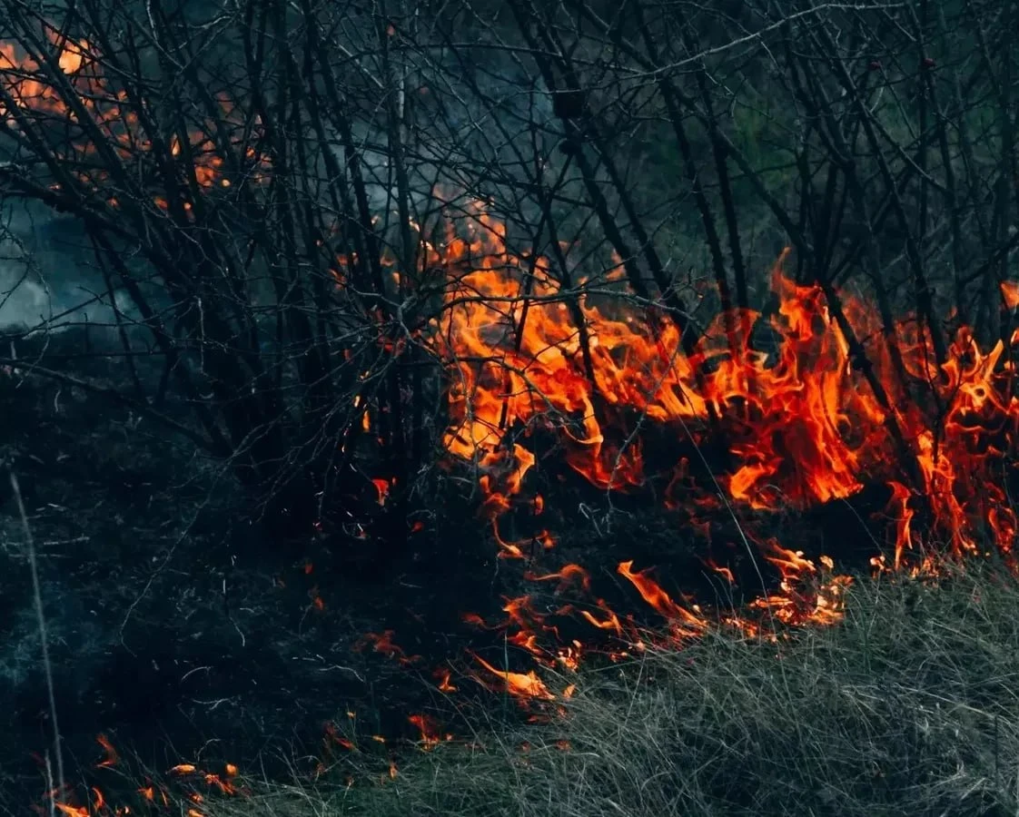 🔥 12 октября в западных, центральных и южных районах Крыма ожидается высокая пожарная ...