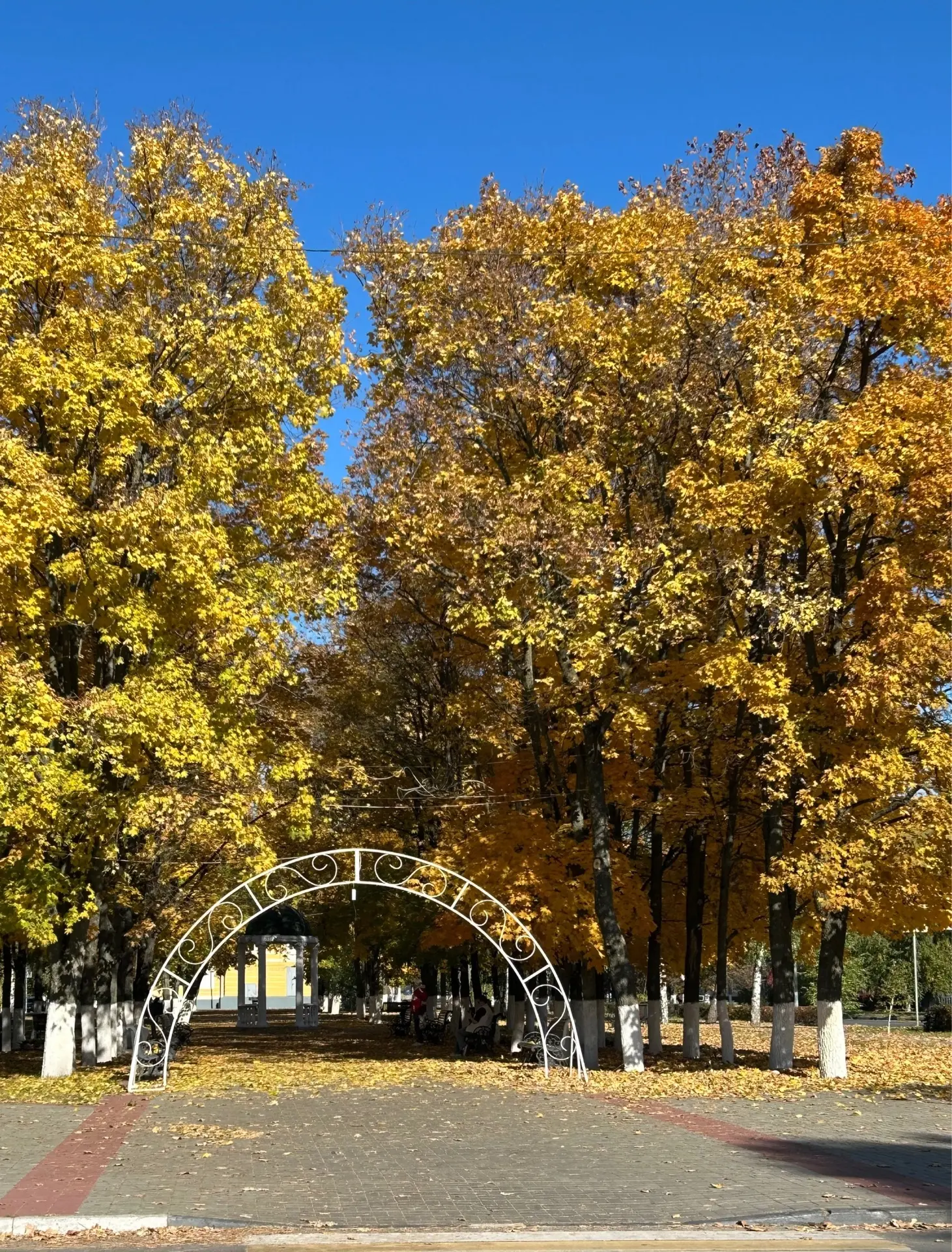 Осень….  Сколько кленового золота  в Театральном парке!