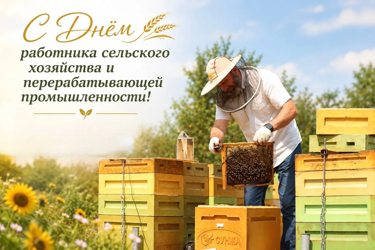 Сегодня отмечается День работника сельского хозяйства и перерабатывающей промышленности.