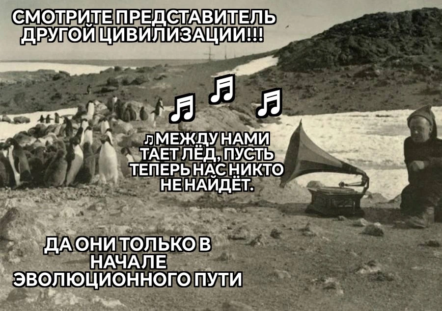 #мчп