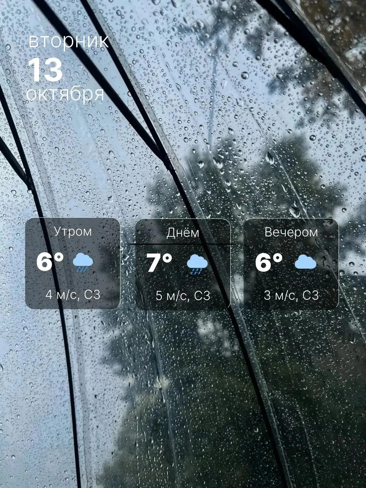 🌧🍂 13 октября ожидается прохладная и дождливая погода