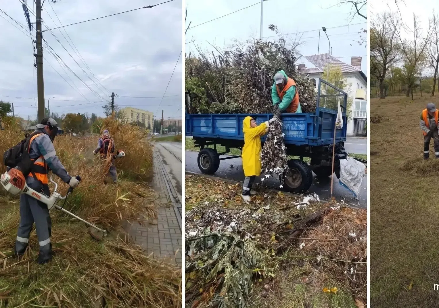 На этой неделе произвели покос различных территорий города