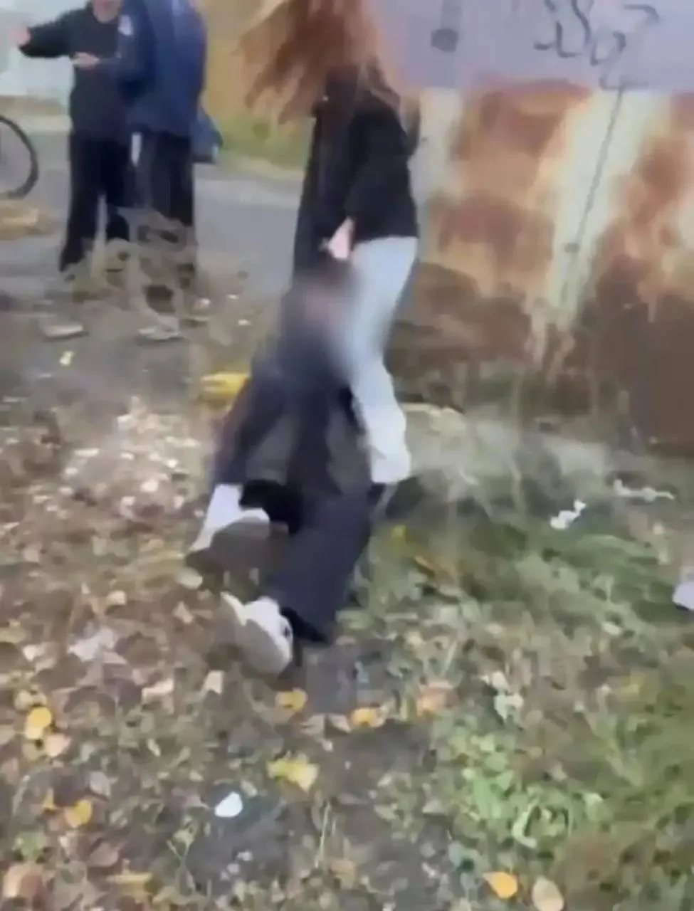 В соцсетях Бийска появилось шокирующее видео, на котором группа подростков толпой издев...