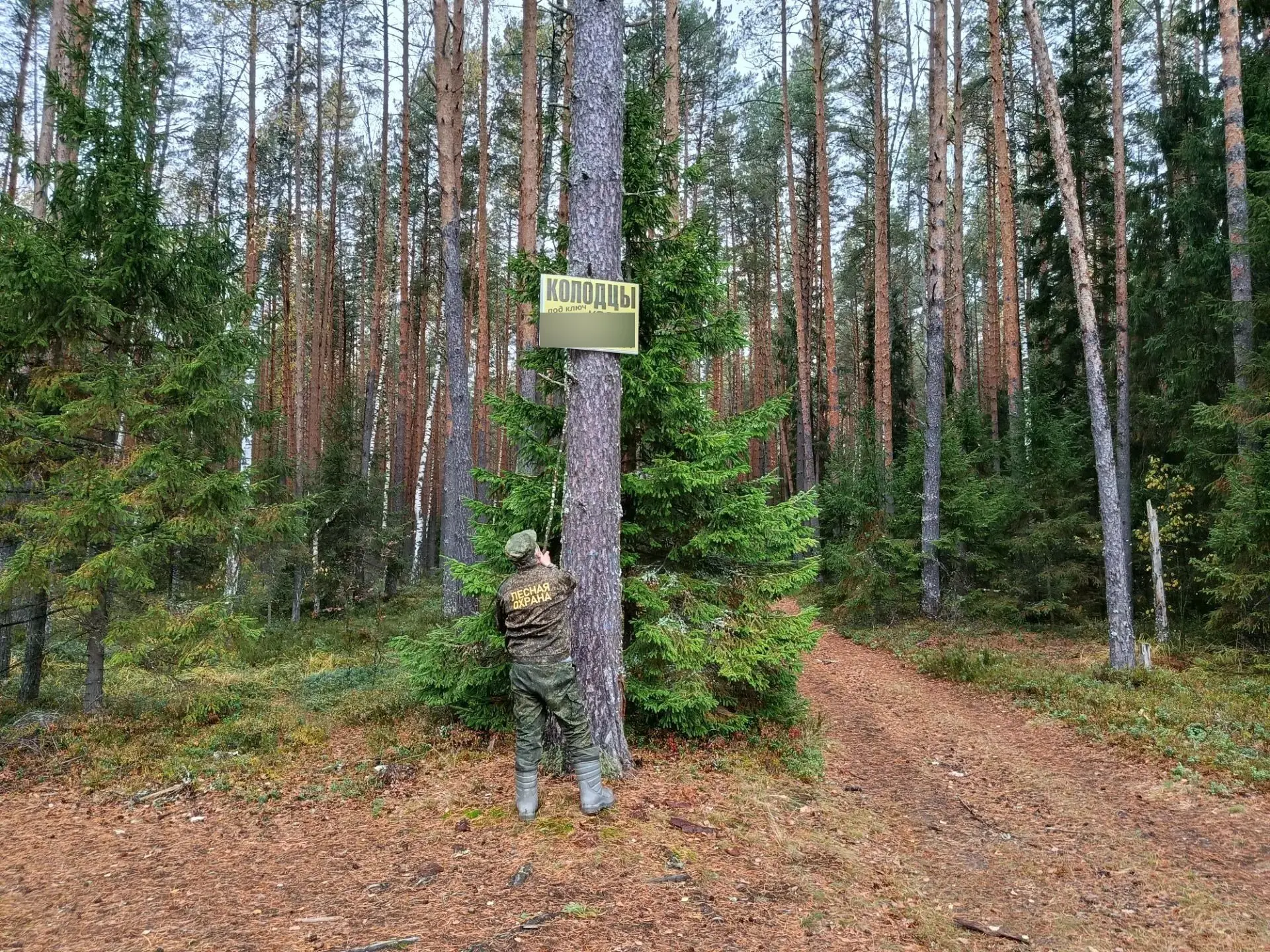 Борьба с незаконной рекламой продолжается
