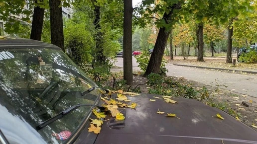 Воронежцев ждет необычно теплая середина октября