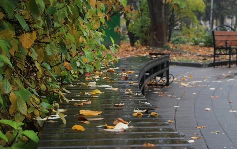 В Череповце в выходные будет дождливо и прохладно.