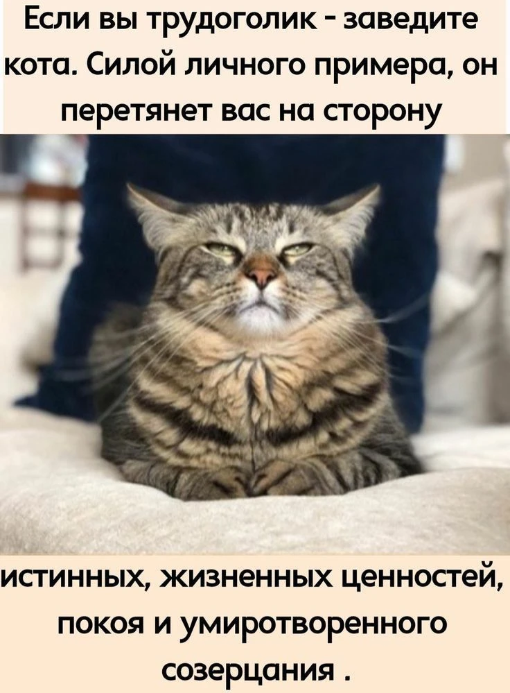 Подпишись, чтобы не потерять👇