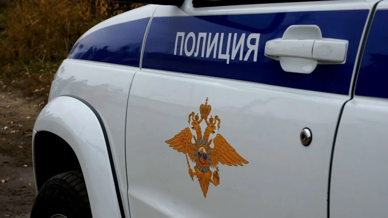 Пыталась помешать следствию и ударила следователя: суд оштрафовал екатеринбурженку