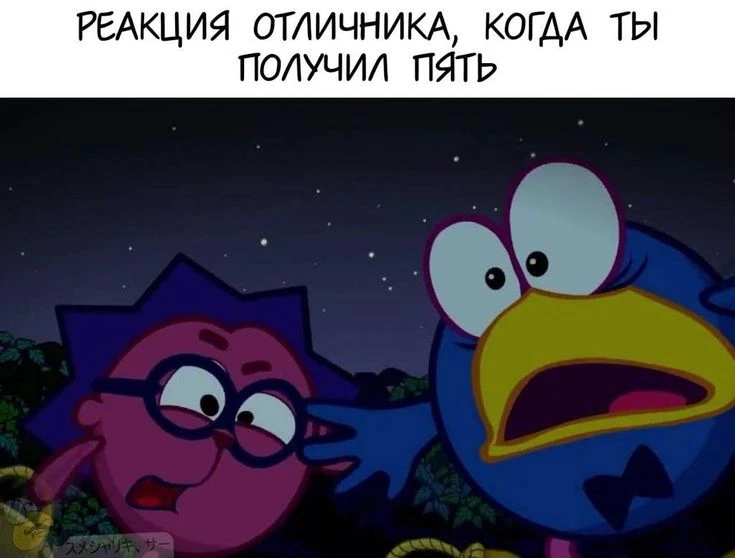 Отличники, вы как там? 😂