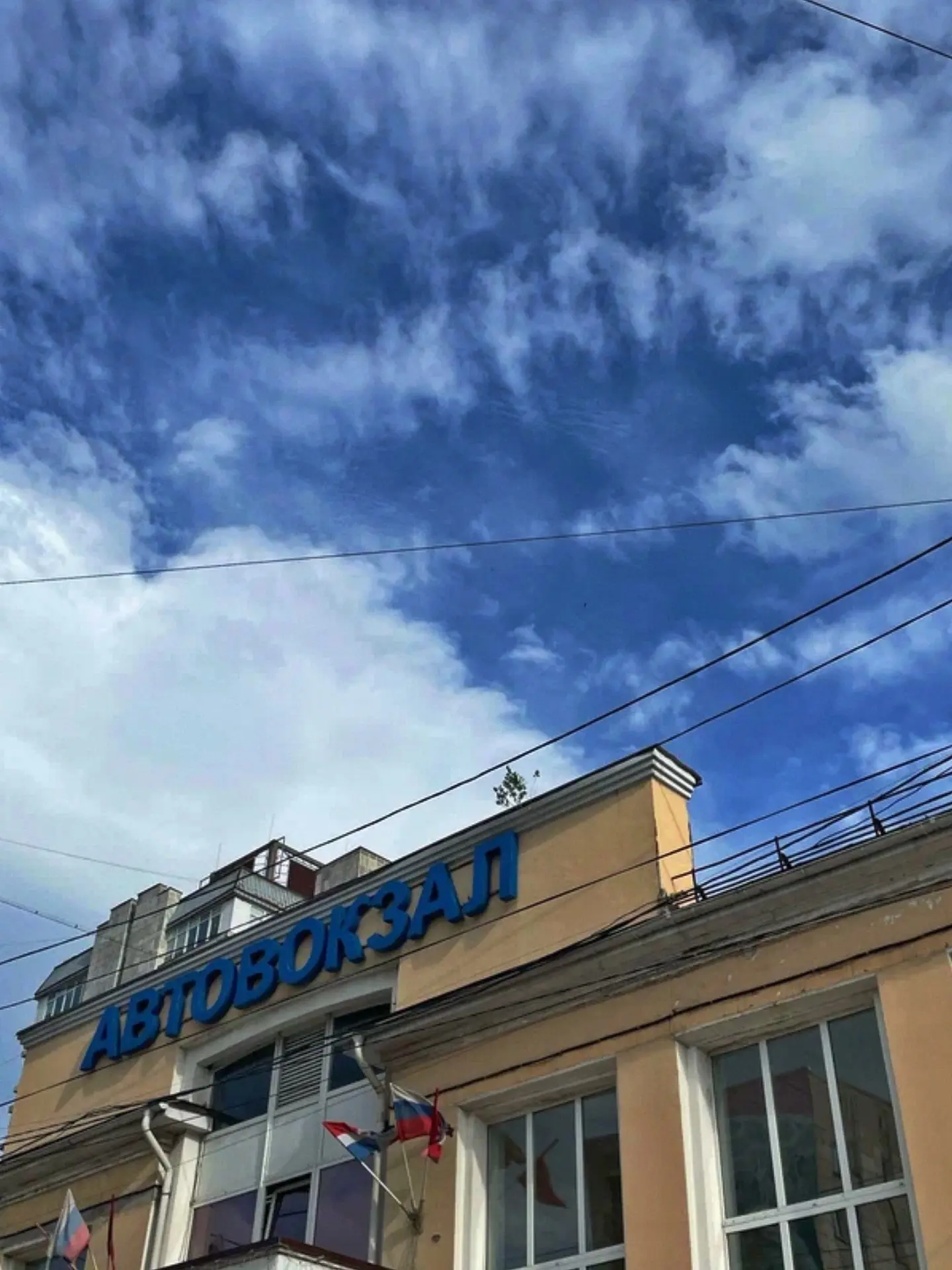 ❤️ Только сейчас узнала историю, от которой я сначала просто сидела и не знала, что ска...