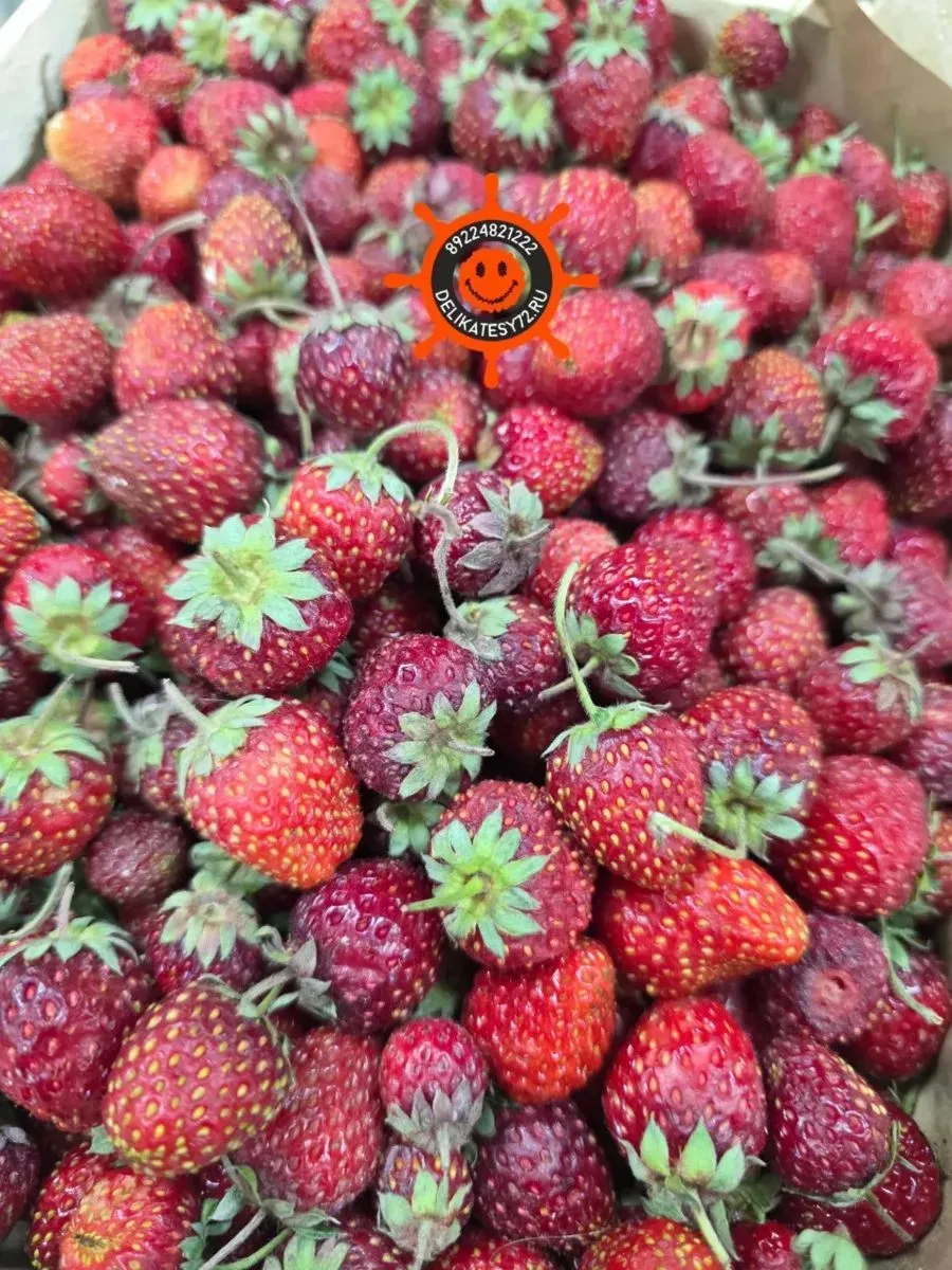🍓 Последние поставки из Киргизии!