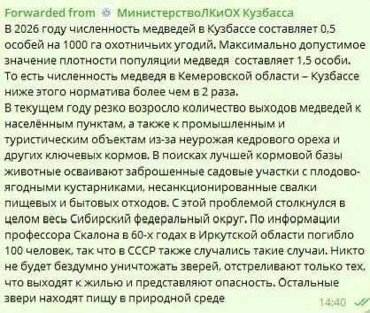 В Кузбассе отказались от массового отстрела медведей.