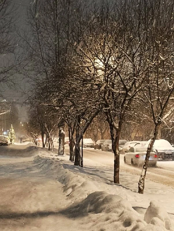❄️  Этой зимой в Красноярске будут реже использовать соль для подсыпки дорог