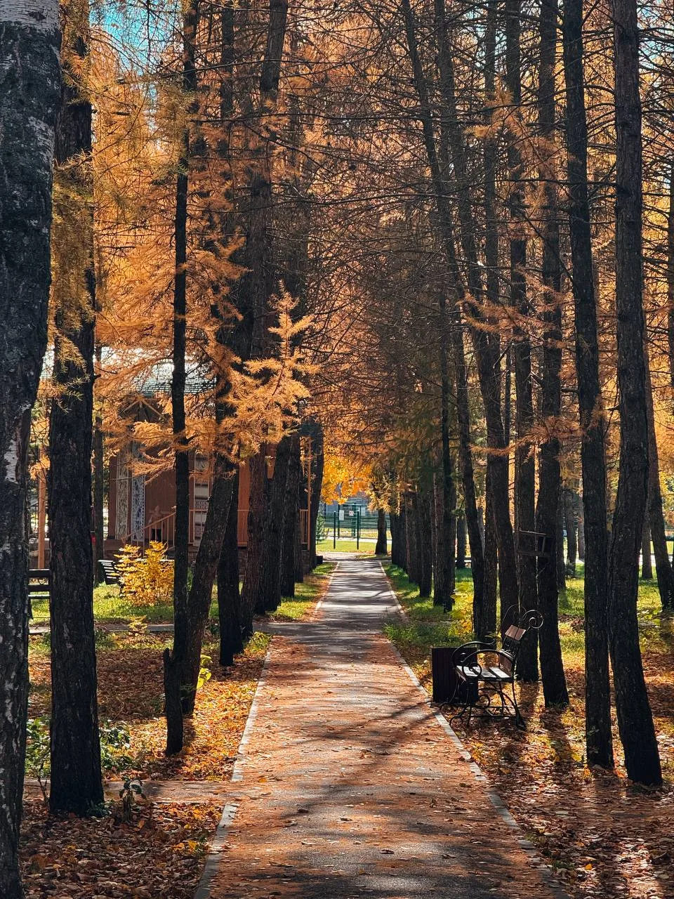 Доброе воскресное утро, ливенцы! ☀️
