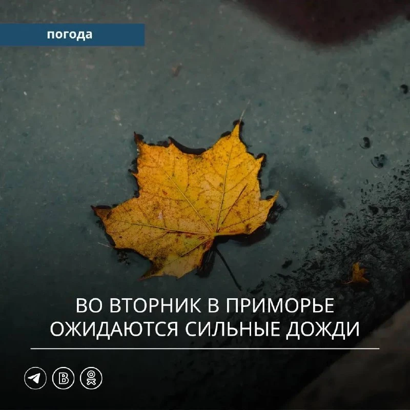 Приморье накроют сильные ливни с порывистым ветром
