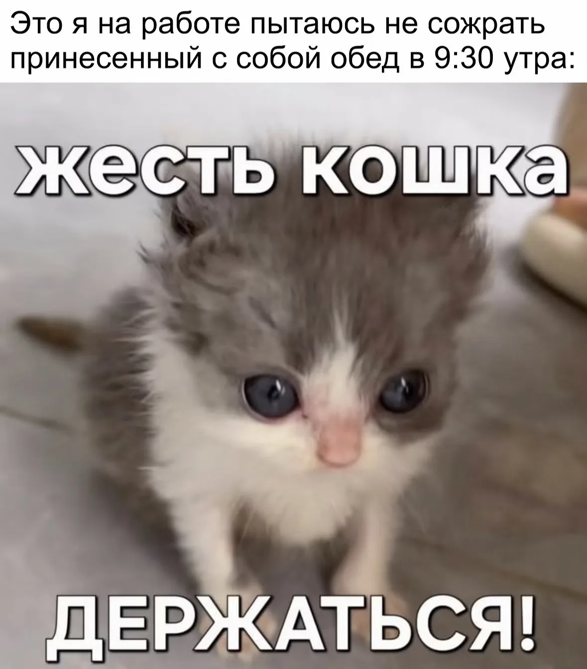 Сложно, но я держусь